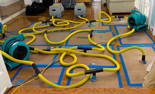 Professional Water Damage Repair technician working in Folsom, WV